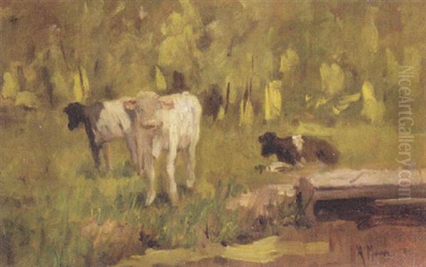 Calves In A Meadow - view 1