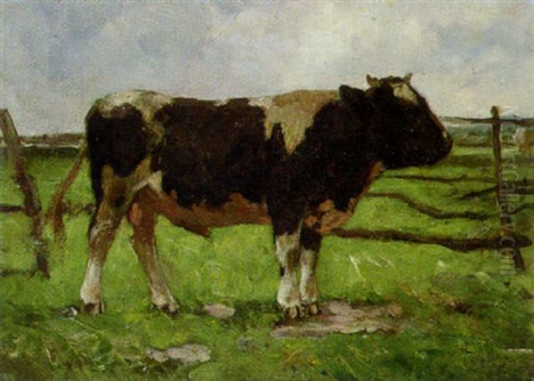 Kuh Auf Der Weide - view 1
