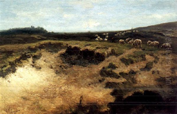 Sheep On A Moor - view 1
