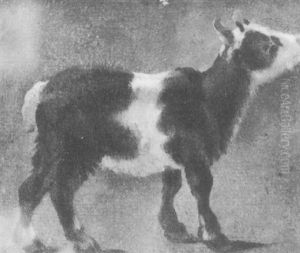 Een Geitje by Anton Mauve