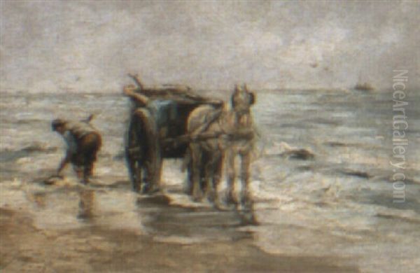 On The Beach - view 1