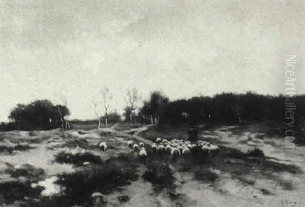 October Pastures - Herder And Sheep - view 1