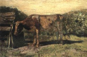 Cow By A Shed In A Landscape