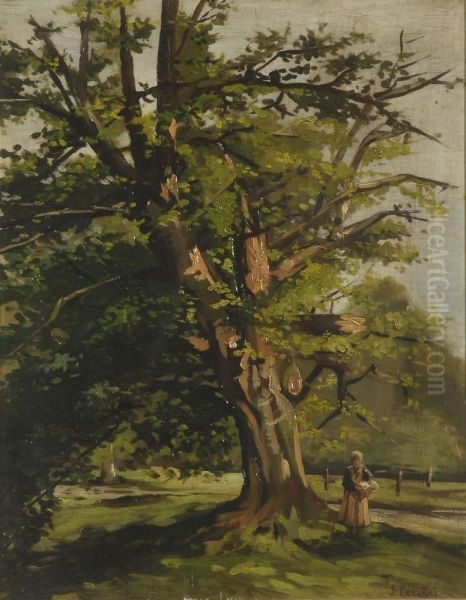Nel Parco Di Monza - view 1