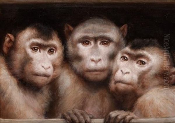 Three Monkeys - view 1