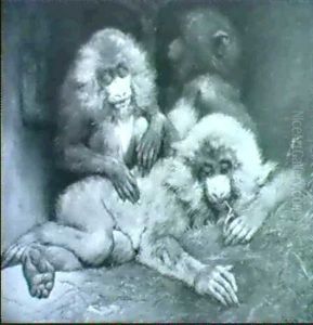 Jenseits Von Gut Und Bose by Gabriel von Max