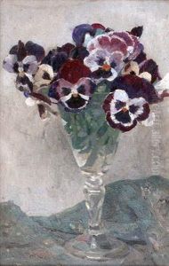 Anemones Dans Un Verre