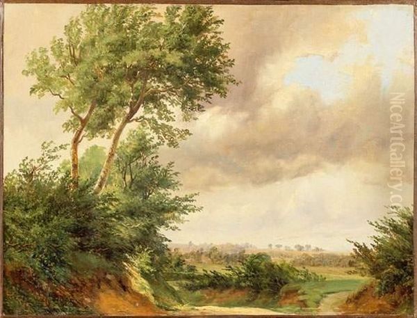 Paysage - view 1