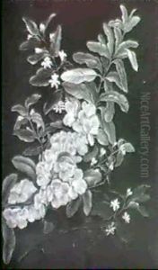 Wiesenblumen