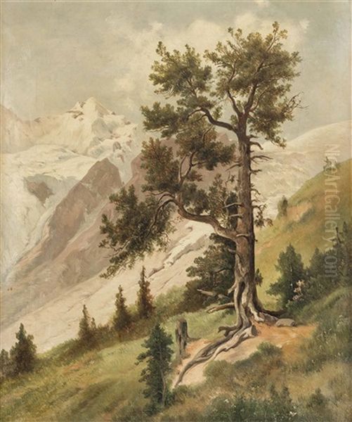 Am Ortler - view 1