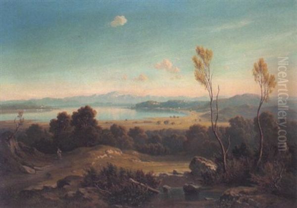 Blick Auf Den Wallersee - view 1