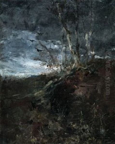 Karge Landschaft Mit Aufkommendem Gewitter - view 1