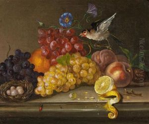 Fruchtestillleben Mit Vogel by Johann Nepomuk Mayrhofer