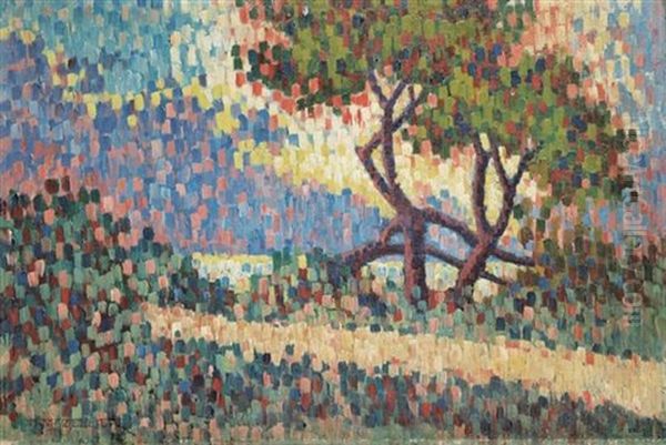 Landscape - view 1