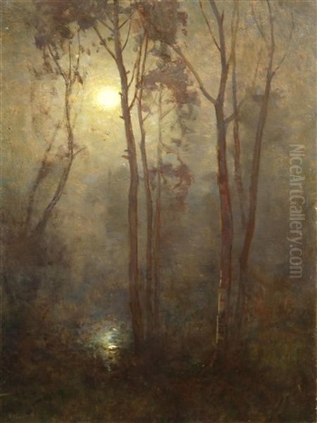 A Moonlit Forest - view 1