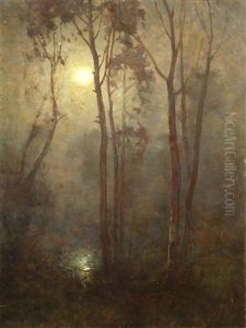 A Moonlit Forest A Moonlit Forest