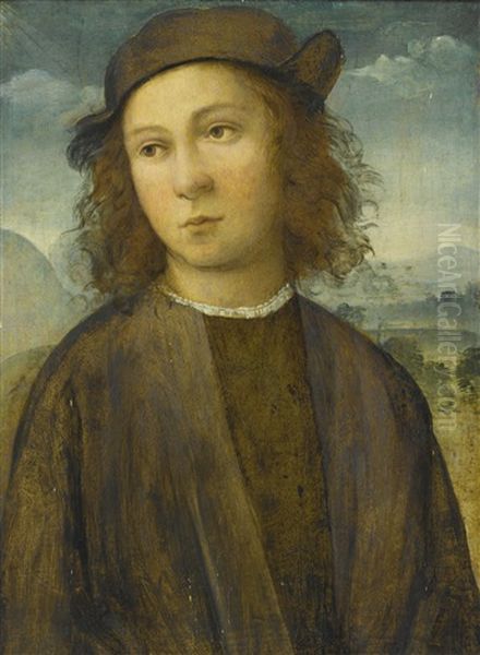 Portrait Of A Boy, Half Length, In A Landscape, Dressed In Black Robes And Cap - view 1