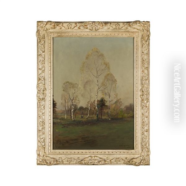 Birch Trees - view 1