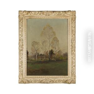 Birch Trees