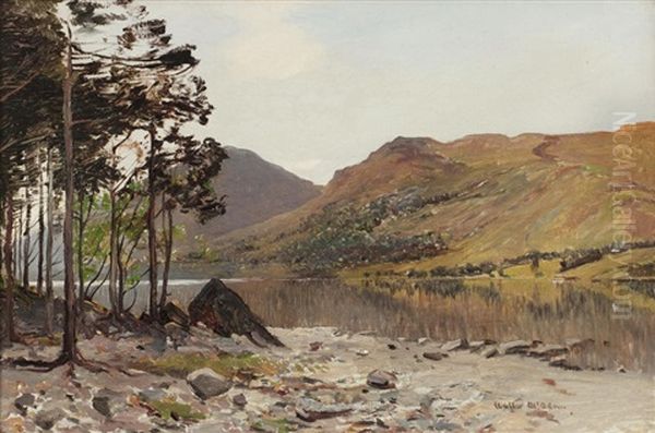 At The Edge Of The Loch - view 1