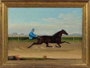 Trotter