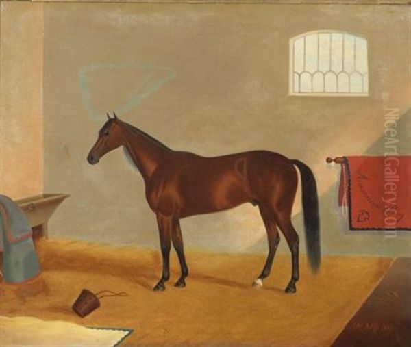 American Boy/an Equine Portrait - view 1