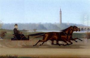Our For A Carriage Ride With Two Trotters Our For A Carriage Ride With Two Trotters