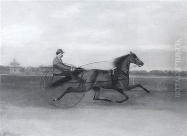 Portrait Of The Trotter "henry" - view 1