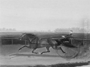 "goldsmith Maid" Bm 2:14 by James J. Mcauliffe