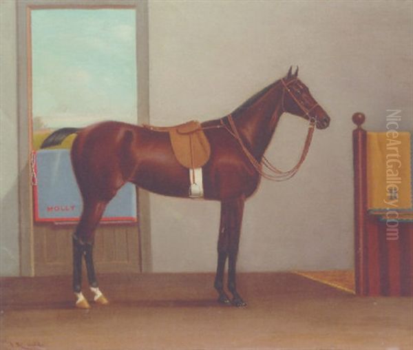 "molly" A Bay Horse In A Stable - view 1