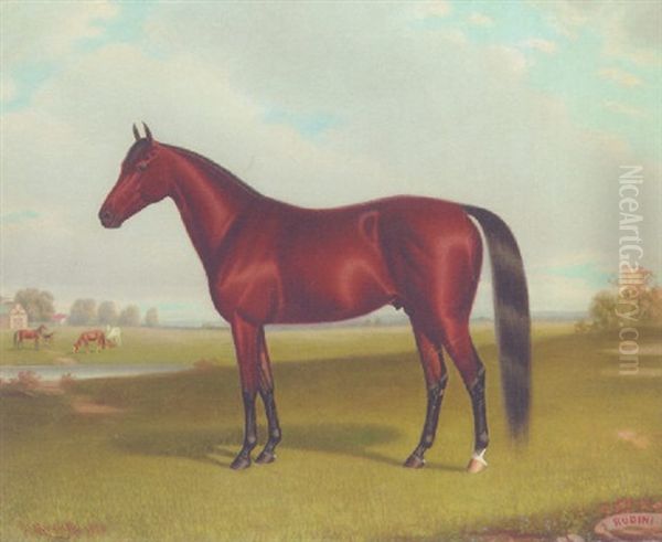 "rubini" A Bay Horse In A Landscape - view 1