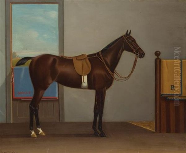Molly - view 1