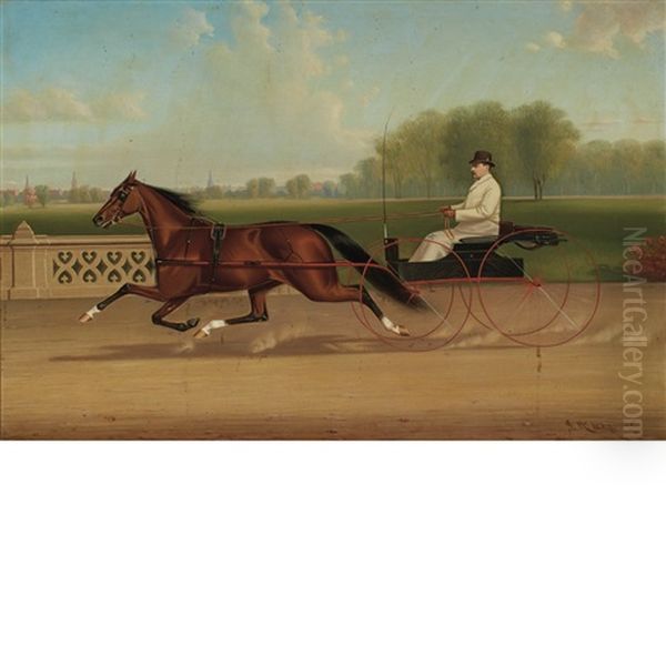 Carriage Ride Through The Park - view 1