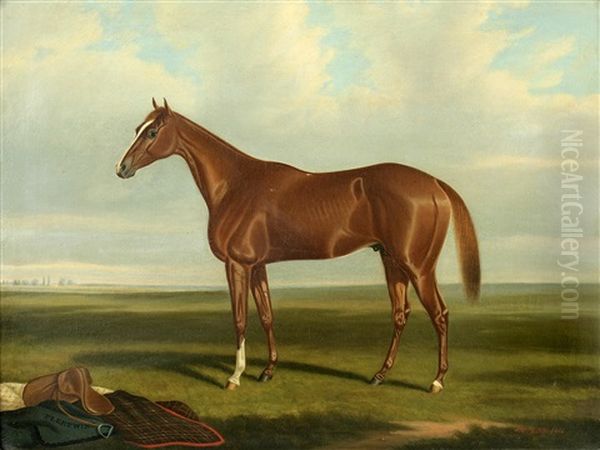 Fleetwing And Decourcey (pair) - view 1