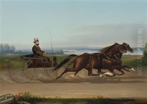Dr. Watson, Rose Medium And Janesville by John McAuliffe