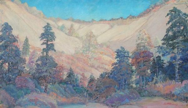 Canyon Scene With Pines And Blue Sky - view 1