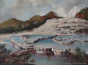 White Terraces by Mary McClellan
