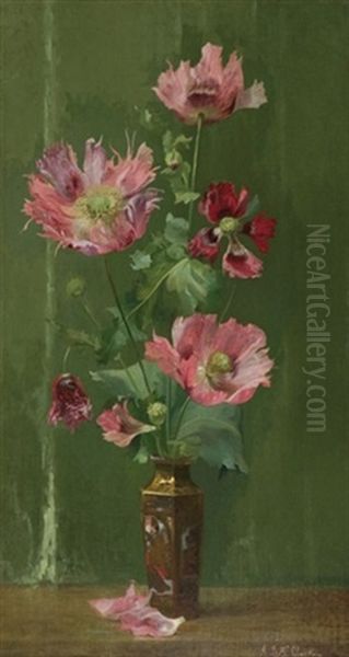 Matija Poppies - view 1