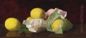 Florida Lemons Florida Lemons