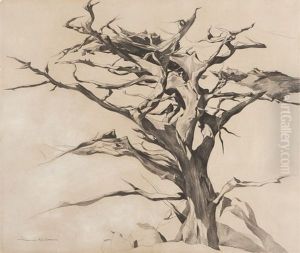 Old Witch Tree On 17 Mile Drive, Monterey Peninsula, Ca by Francis John Mccomas
