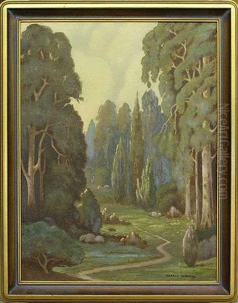 Path Through The Trees - view 1