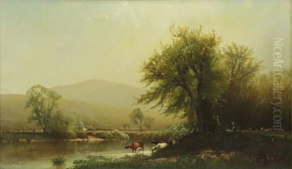 Cows Watering - view 1