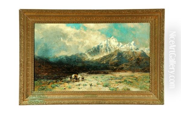Settlers - view 1