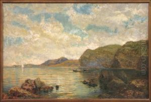 Sorrento Shoreline