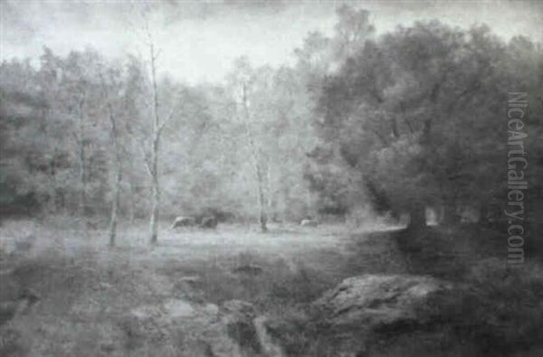 Watering Cows In The Forest - view 1