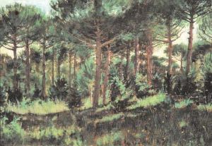 La Pineta Di Cervia by Flavio Bertelli