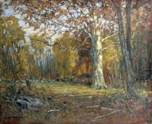 Forest Clearing by Samuel Harkness Mccrea