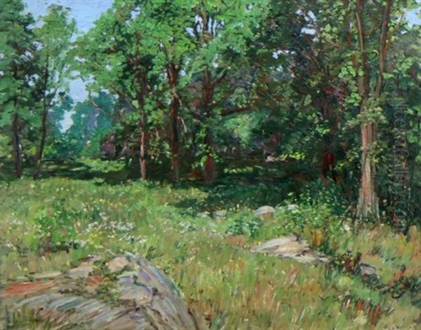Spring Landscape With Rocks - view 1