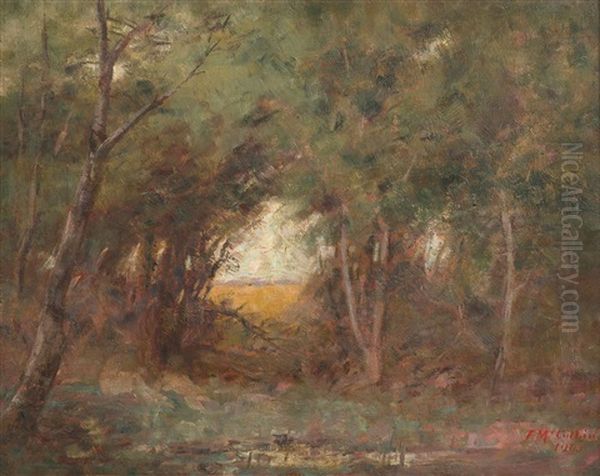 Ti-tree Study - view 1