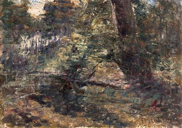 Bush Landscape - view 1